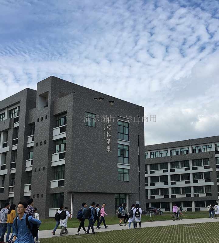 客户案例展示